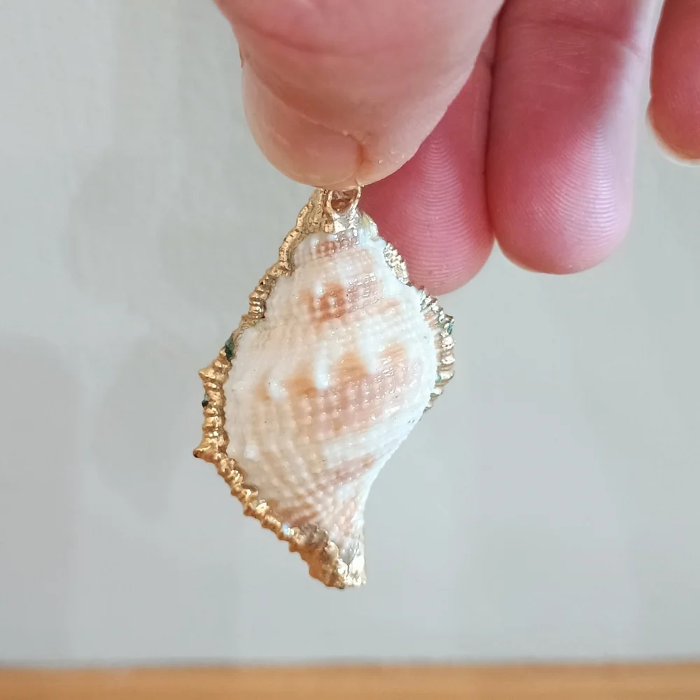 Natural Conch Seashell Pendant Gold Accented Nautical Ocean - Picture 5 of 6